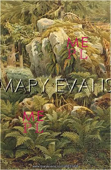 : PLANTS / FERNS : PLANTS / FERNS