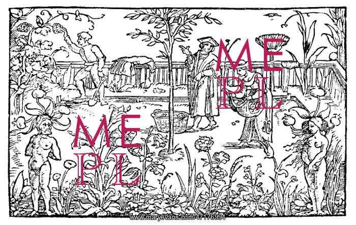 : PLANTS / HERBS / GENERAL