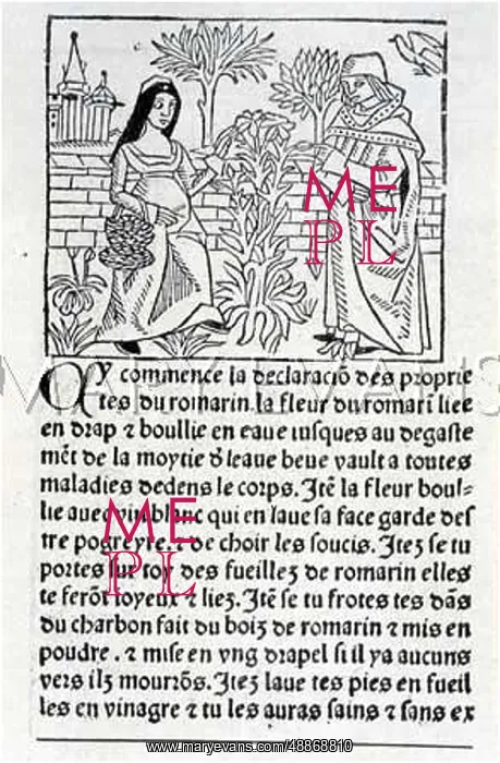 : PLANTS / HERBS / GENERAL : PLANTS / HERBS / GENERAL