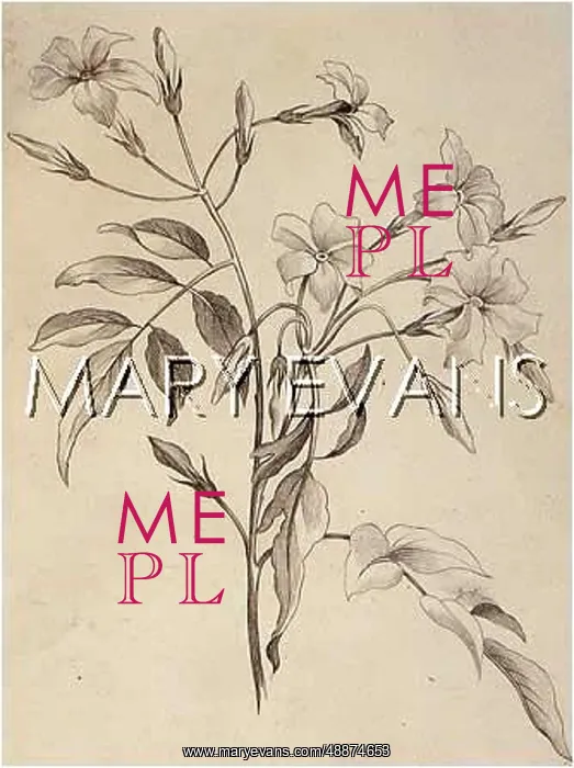  : PLANTS / JASMINUM