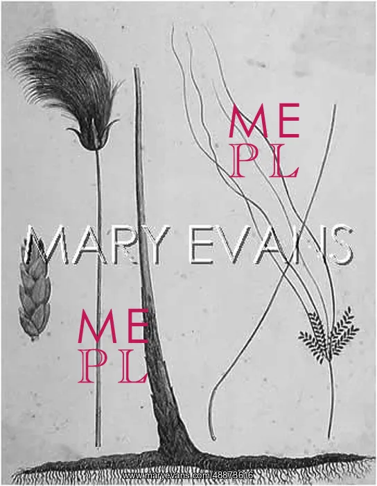  : PLANTS / PAPYRUS