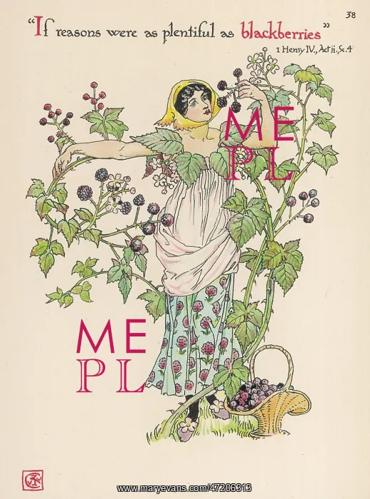  : Plants - Rubus Fruticosus