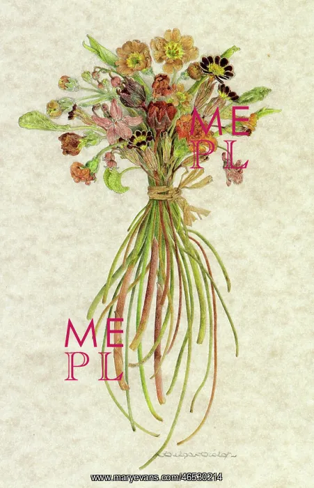  : PLANTS / SPRING FLOWERS
