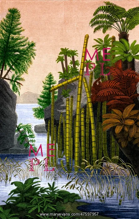 : Plants of the Triassic Period : Plants of the Triassic Period