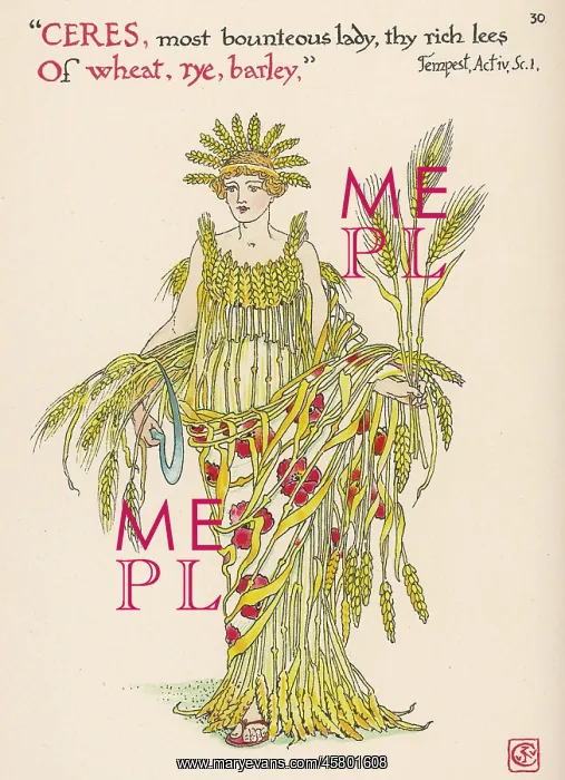 : Plants - Triticum Etc : Plants - Triticum Etc