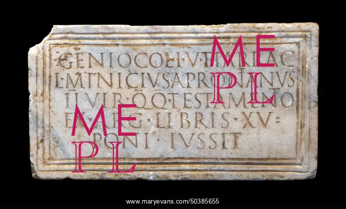 : Plaque, Museo Arqueologico Nacional, Tarragona, Catalonia, Spain : Plaque, Museo Arqueologico Nacional, Tarragona, Catalonia, Spain