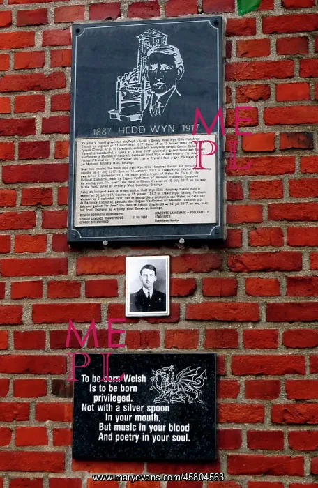 : Plaque to Welsh poet Hedd Wyn, Iron Cros, Pilkem Ridge : Plaque to Welsh poet Hedd Wyn, Iron Cros, Pilkem Ridge
