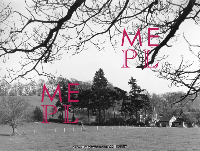  : PLAS MEREDITH