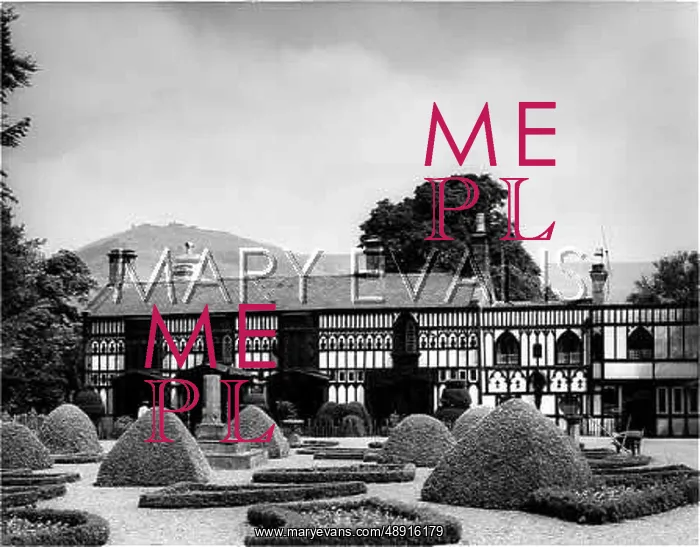 : PLAS NEWYDD : PLAS NEWYDD