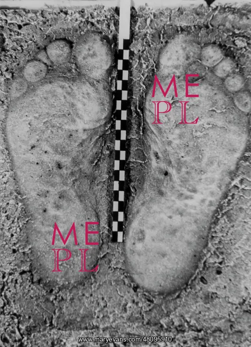  : Plaster cast of footprints from criminal's bare feet