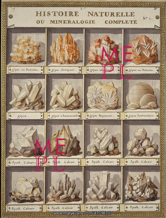 : Plate 1 from Histoire naturelle? (1789) : Plate 1 from Histoire naturelle? (1789)