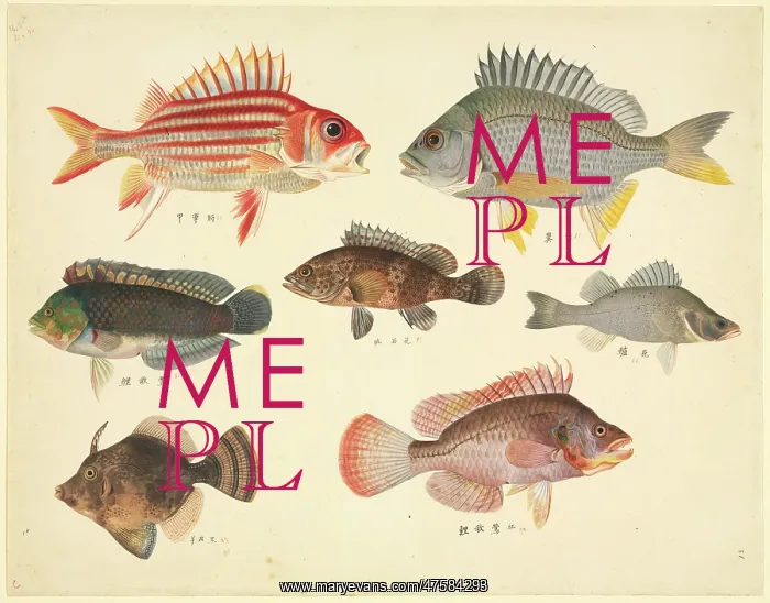 : Plate 110 from the John Reeves Collection : Plate 110 from the John Reeves Collection