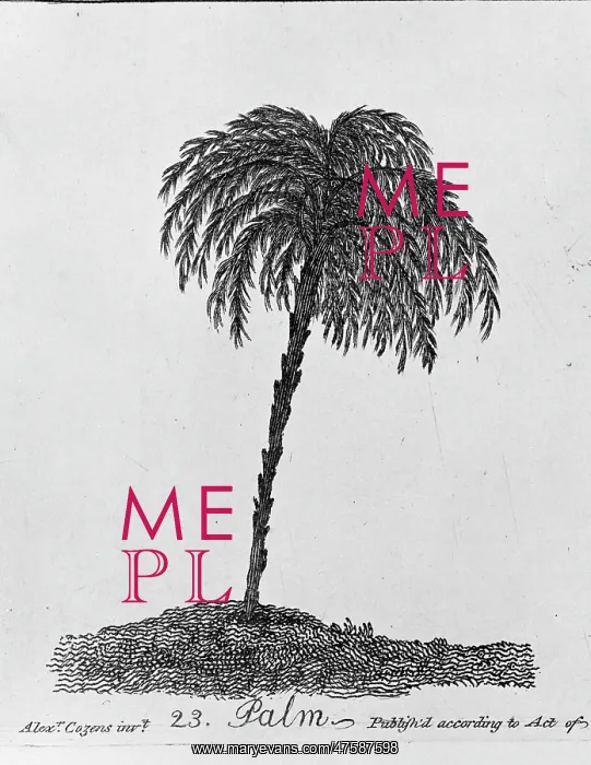 : Palm. Plate 23 from The Shape, Skeleton and Foliage of Thirty Two Species of Trees : Palm. Plate 23 from The Shape, Skeleton and Foliage of Thirty Two Species of Trees