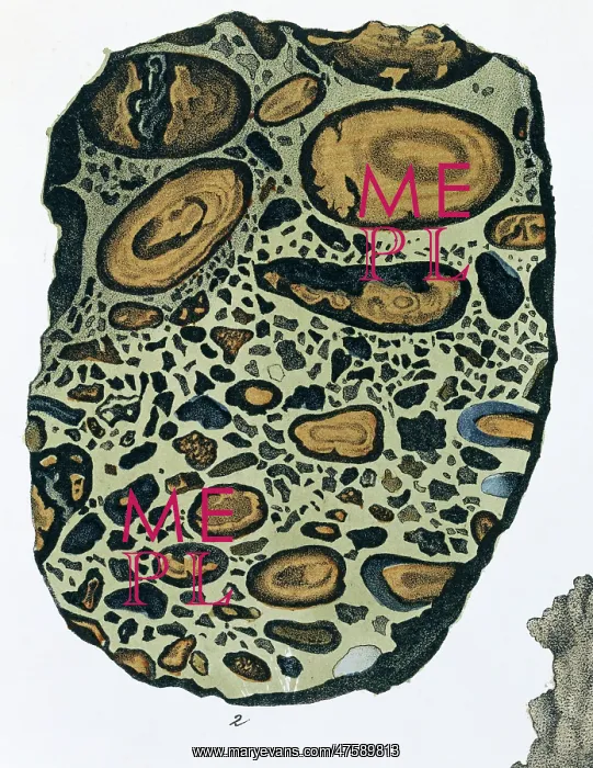 : Plate 4, fig 2 Puddingstone - from Mineralienbuch : Plate 4, fig 2 Puddingstone - from Mineralienbuch