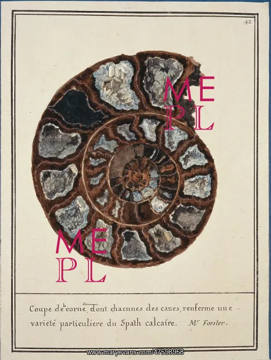 : Plate 42 from Mineralogie Volume 1 (1790) : Plate 42 from Mineralogie Volume 1 (1790)