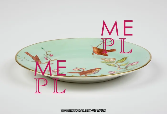 : Side plate : Side plate