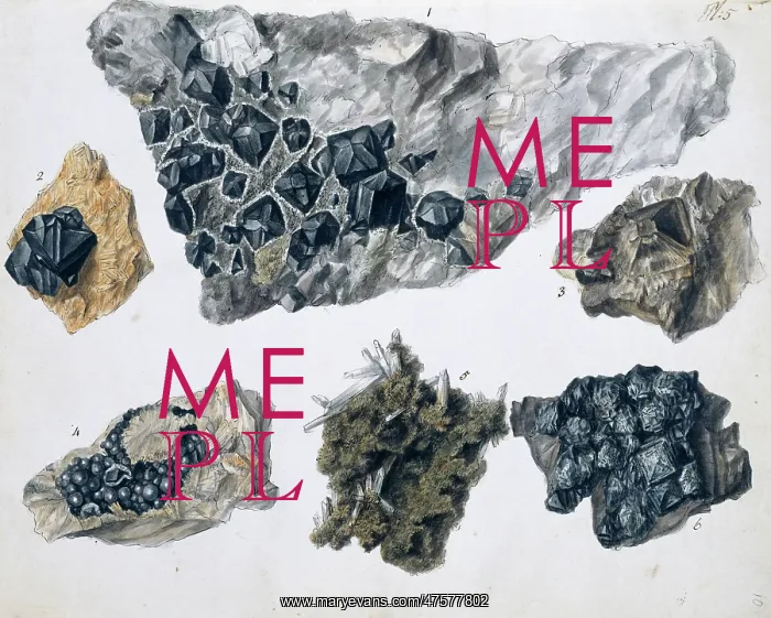 : Plate 5 from Specimens of British Minerals? vol. 1 by P. Ras : Plate 5 from Specimens of British Minerals? vol. 1 by P. Ras