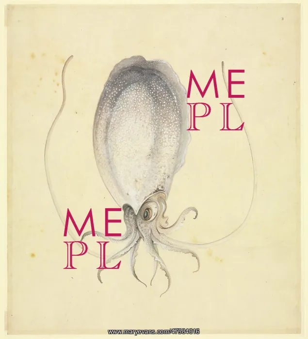 : Plate 76 from the John Reeves Collection : Plate 76 from the John Reeves Collection