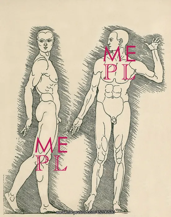: Plate from Albrecht Durer's, VIER BUCHER ? : Plate from Albrecht Durer's, VIER BUCHER ?