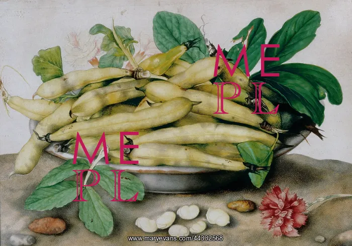 : Plate of broad beans; work : Plate of broad beans; work