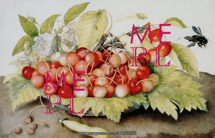 : Plate of cherries, pod and bumble bees : Plate of cherries, pod and bumble bees