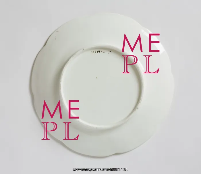 : Plate, reverse : Plate, reverse