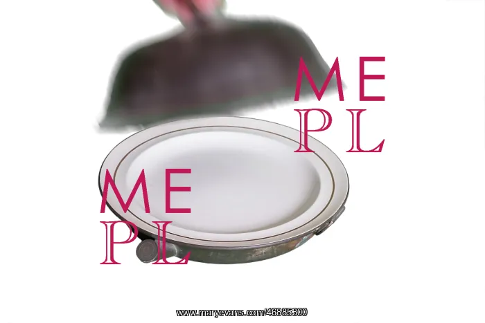  : Plate Warmer Childs