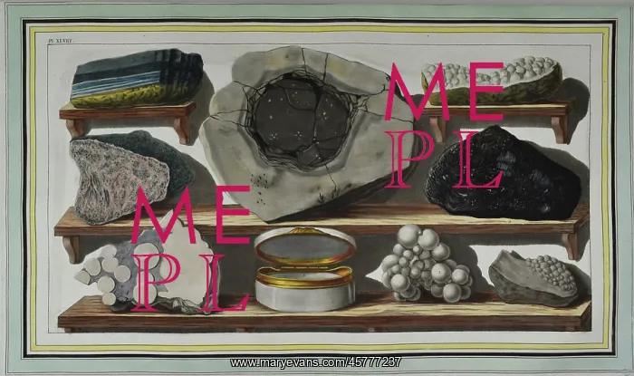  : Plate XLVIII: Specimens of curious stones, Mount Vesuvius