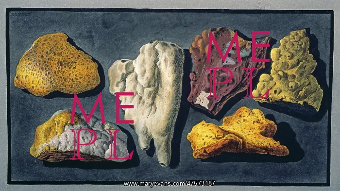 : Plate XXXXIV: Lava Samples : Plate XXXXIV: Lava Samples