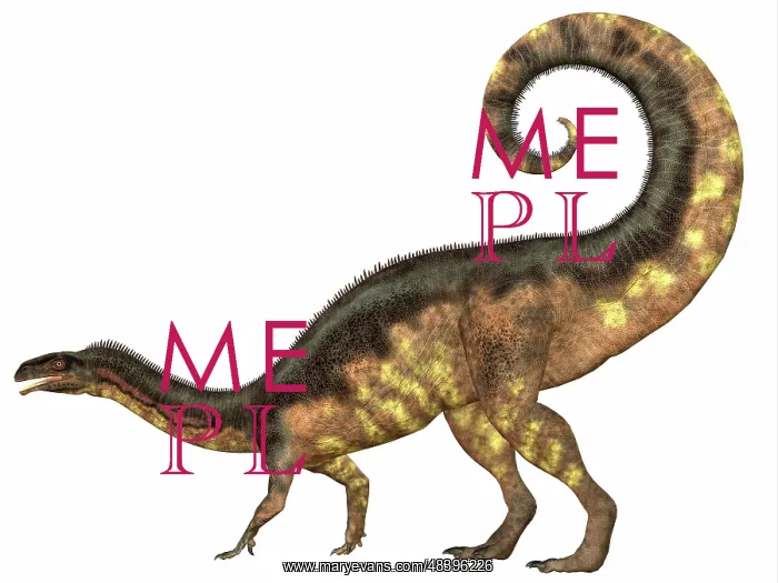 : Plateosaurus dinosaur, side view : Plateosaurus dinosaur, side view
