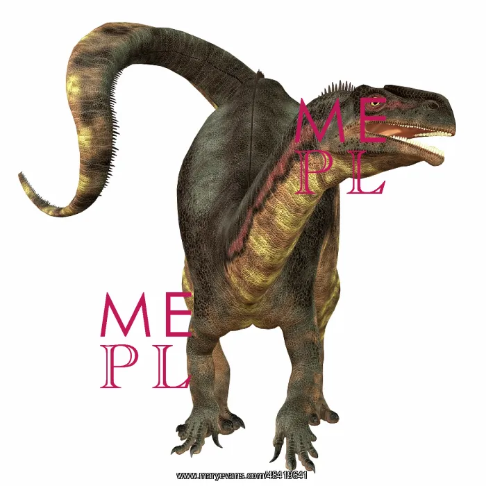 : Plateosaurus dinosaur, front view : Plateosaurus dinosaur, front view