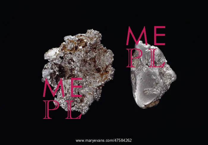 : Platinum. Two nuggets of platinum. Platinum is an elemental and very precious metal : Platinum. Two nuggets of platinum. Platinum is an elemental and very precious metal