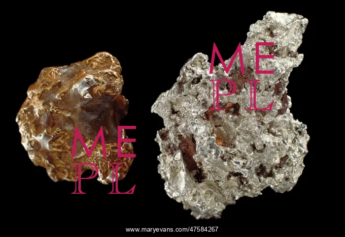 : Platinum. Two large nuggets of platinum. Platinum : Platinum. Two large nuggets of platinum. Platinum