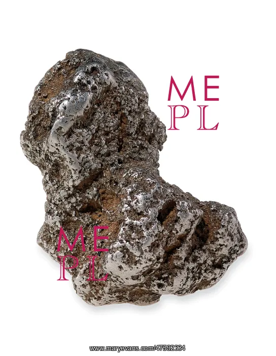 : Platinum Nugget : Platinum Nugget