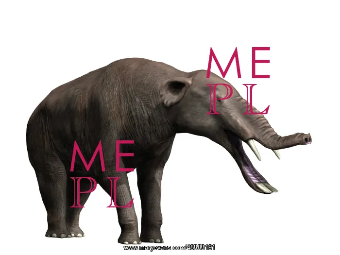 : Platybelodon grangeri is a large mammal from the Late ? : Platybelodon grangeri is a large mammal from the Late ?