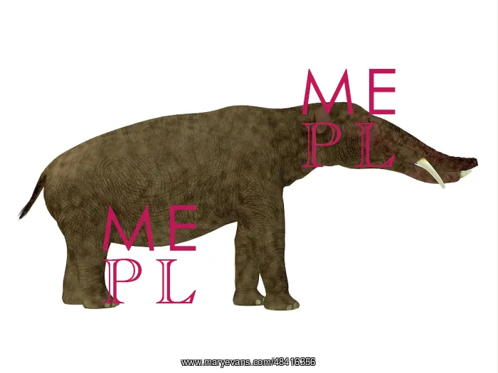 : Platybelodon mammal, side view : Platybelodon mammal, side view
