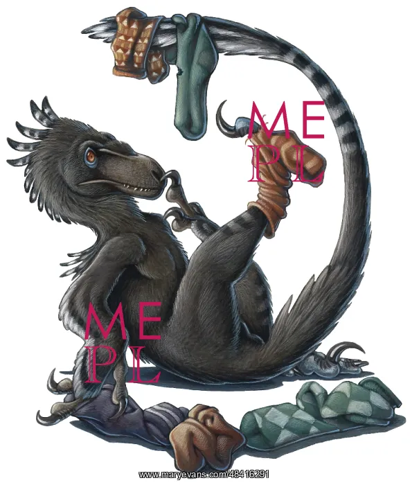 : A playful Deinonychus dinosaur playing with socks : A playful Deinonychus dinosaur playing with socks