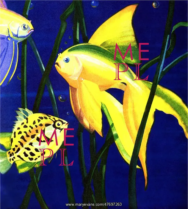  : Playful Fish