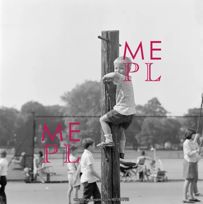 : Playground In Clissold Park : Playground In Clissold Park