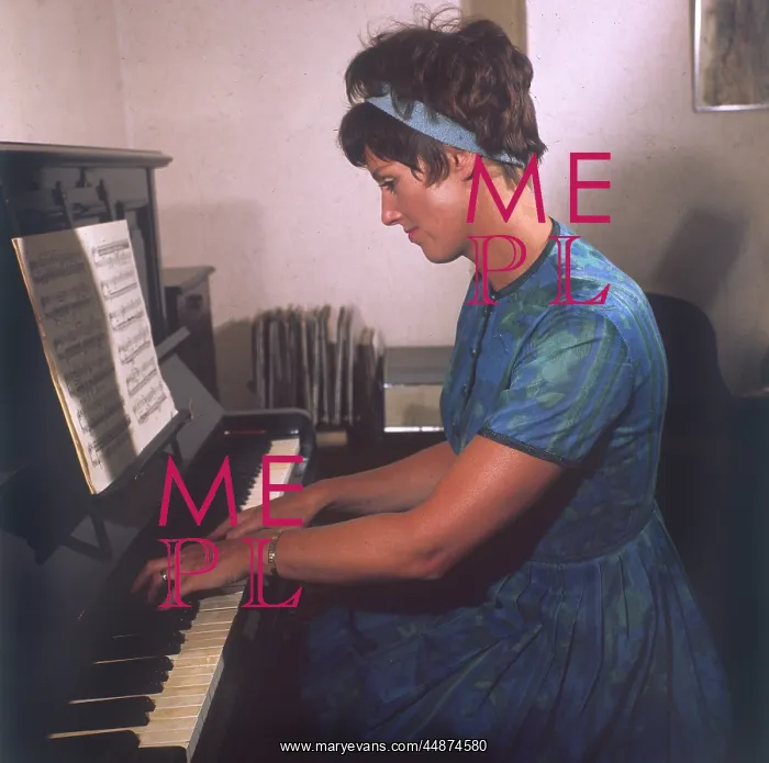 : PLAYING THE PIANO : PLAYING THE PIANO