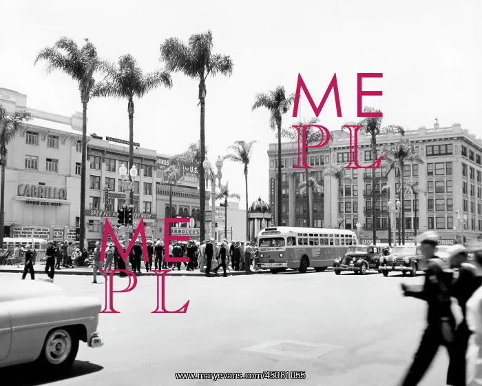 : The Plaza Bus Transportation Center Loading Lots : The Plaza Bus Transportation Center Loading Lots