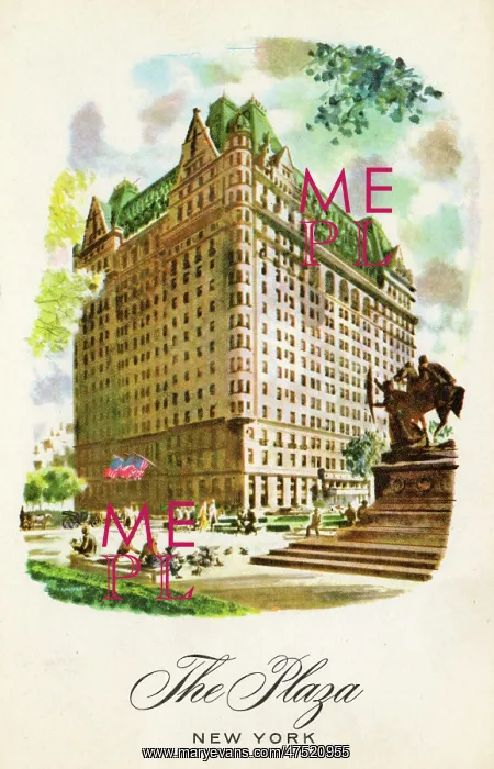  : Plaza Hotel, New York
