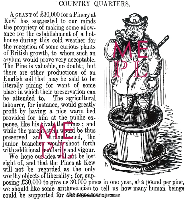 : A plea for the English agricultural labourer to : A plea for the English agricultural labourer to