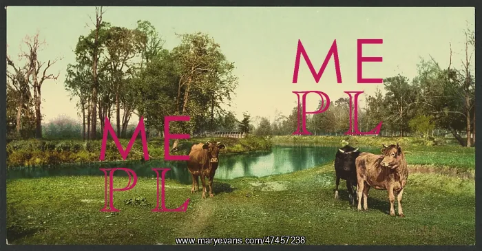  : A pleasant pasture
