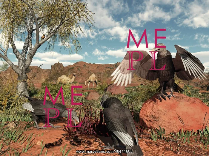 : Pleistocene Black Vultures feed on carrion : Pleistocene Black Vultures feed on carrion