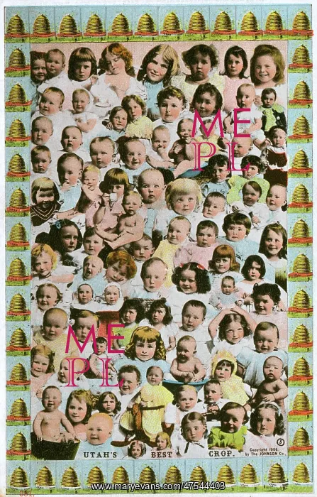 : Plentiful crop of Babies - Utah, United States : Plentiful crop of Babies - Utah, United States