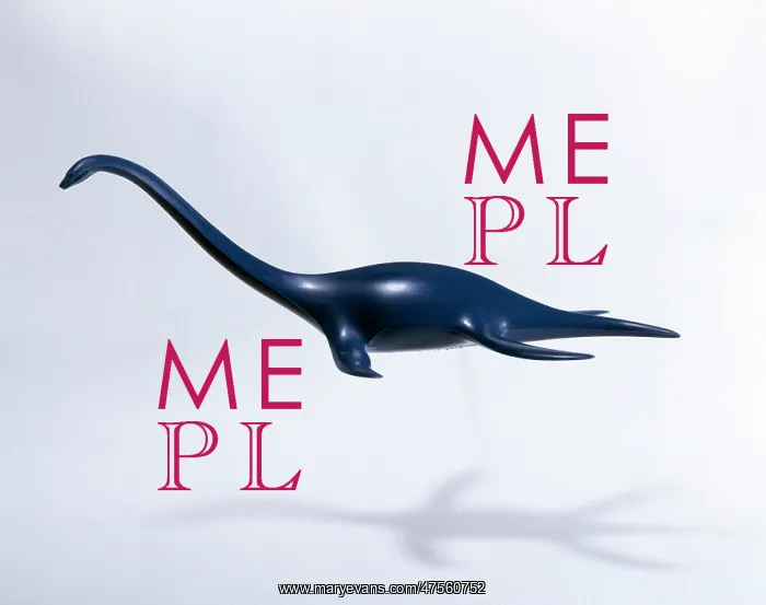 : Plesiosaur : Plesiosaur