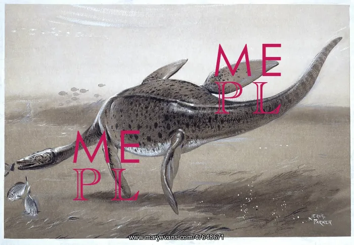 : Plesiosaur : Plesiosaur