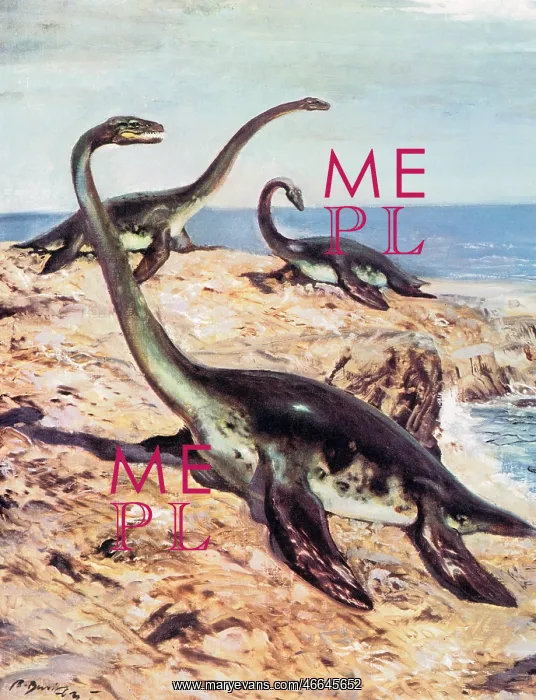  : Plesiosaurus