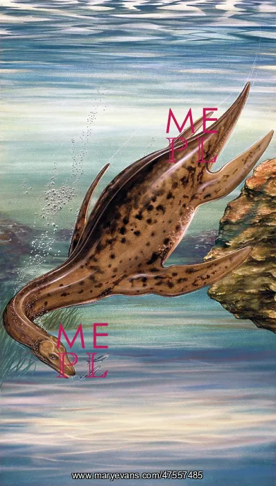  : Plesiosaurus